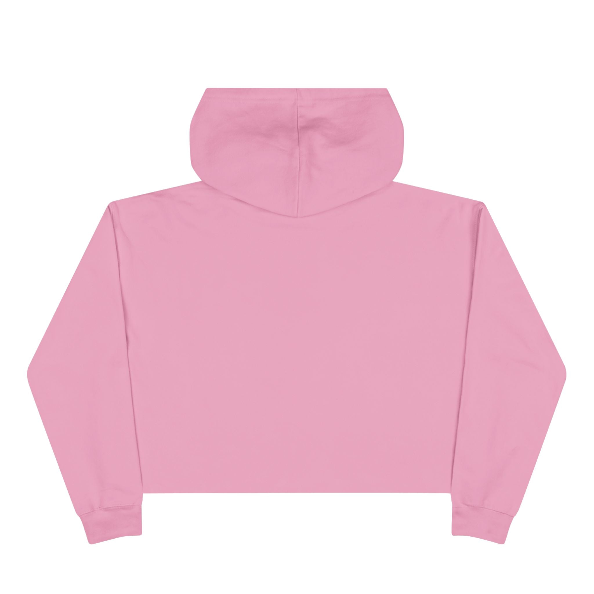 Book Club DropOut Cropped Hoodie